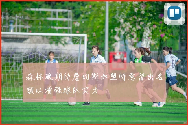 森林狼期待詹姆斯加盟特意留出名额以增强球队实力